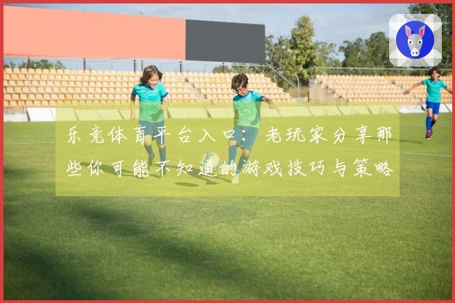 乐竞体育平台入口：老玩家分享那些你可能不知道的游戏技巧与策略