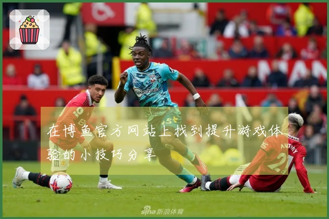 在博鱼官方网站上找到提升游戏体验的小技巧分享