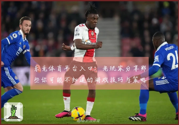 乐竞体育平台入口：老玩家分享那些你可能不知道的游戏技巧与策略